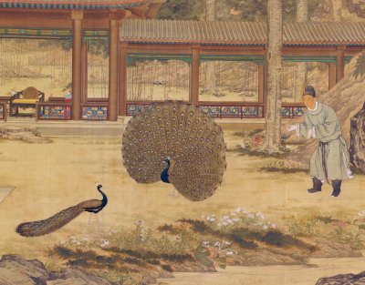 图片[3]-The peacock in Qianlong Temple opens its screen and sticks it down-China Archive